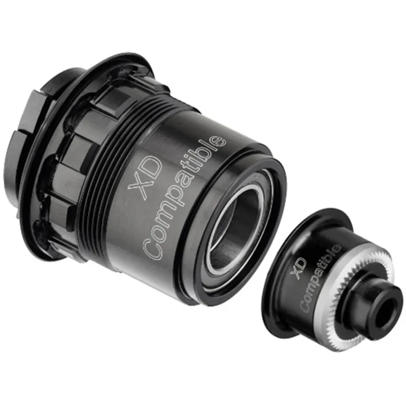 DT Swiss Pawl Freehub Conversion Kit in Black Alloy-1