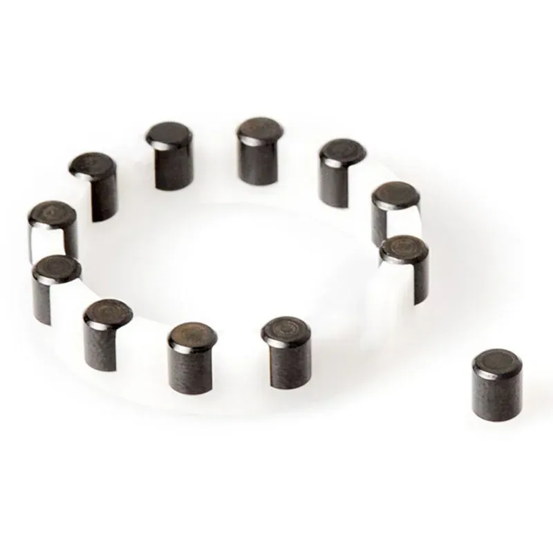 DT Swiss Rear Onyx Hub Needle Cage in Black/White