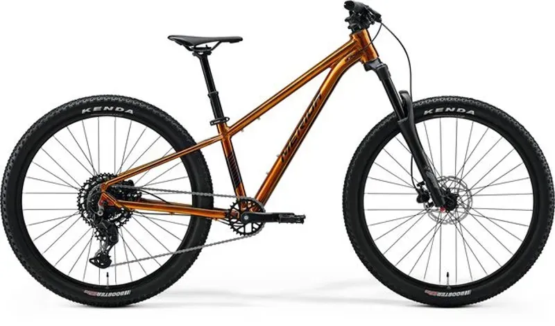 Merida Matts J. Champion Kids Mountain Bike in Wild Honey/Black