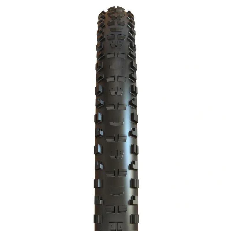 TYRE MaxMTB Minion DHR2 29x2.5 MG DD TR Black 29 x 2.5 inches-1