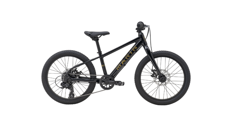 2026 Marin Bayview Trail 20 Black Gold