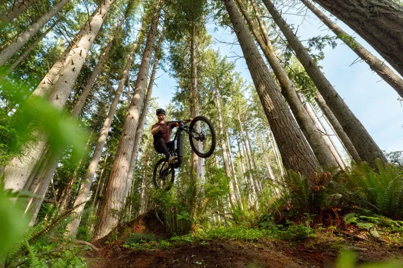 Marin Alpine Trail E2 ROOT BEER 2026-4