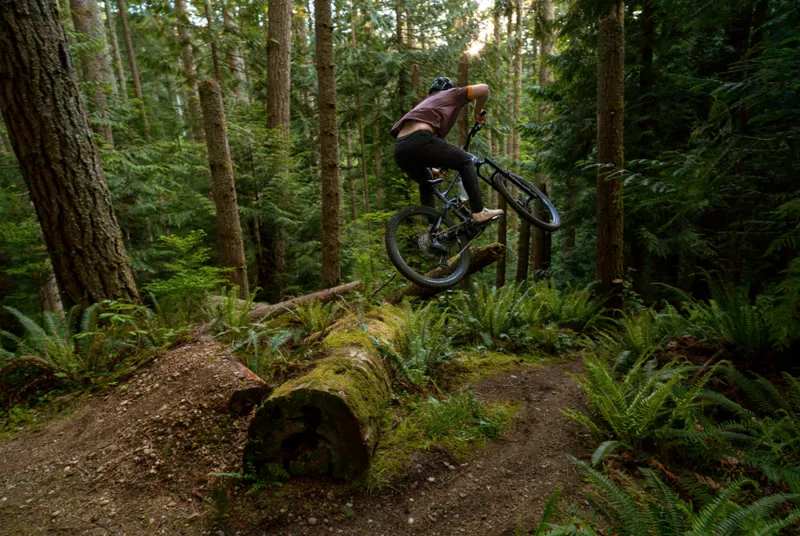 Marin Alpine Trail EXR SILVER/BLACK 2026-3
