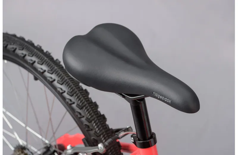 Ridgeback Destiny 24 Kids Bike in Pink-3