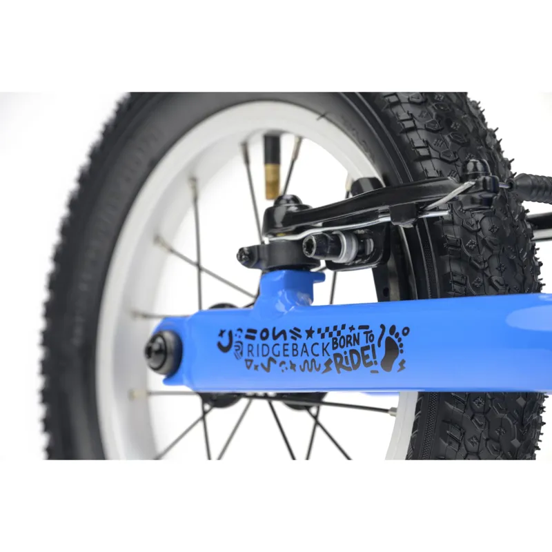 Ridgeback Scoot Bertie Blue-4