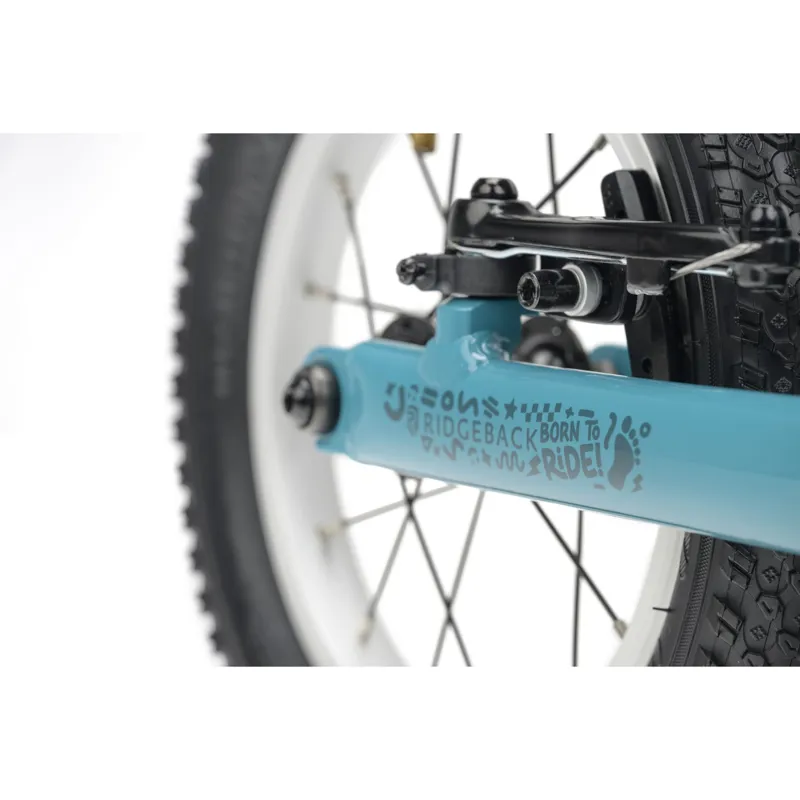 Ridgeback Scoot Turbo Teal-5