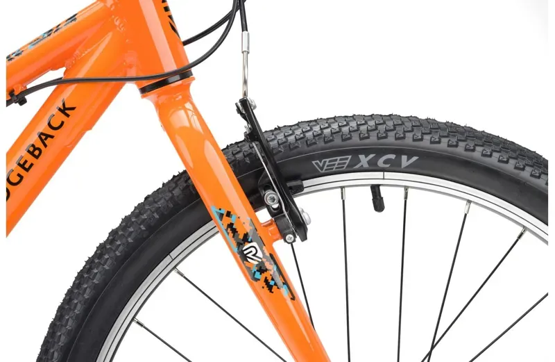 Ridgeback MX24 Bike Kids in Orla Orange-8