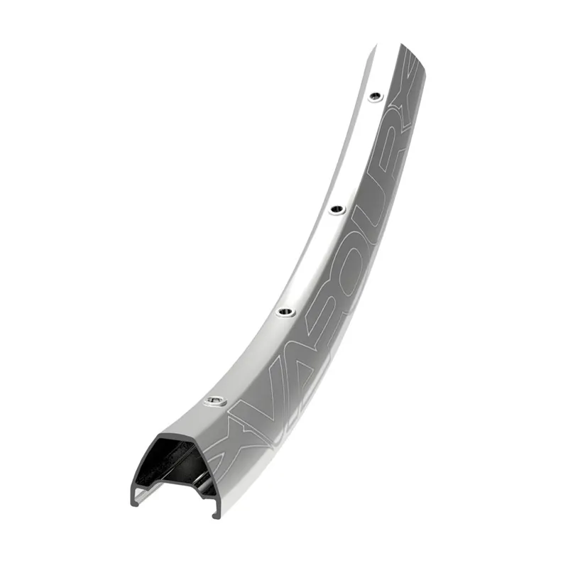 Halo Vapour 29 Inch Rim Polished Silver